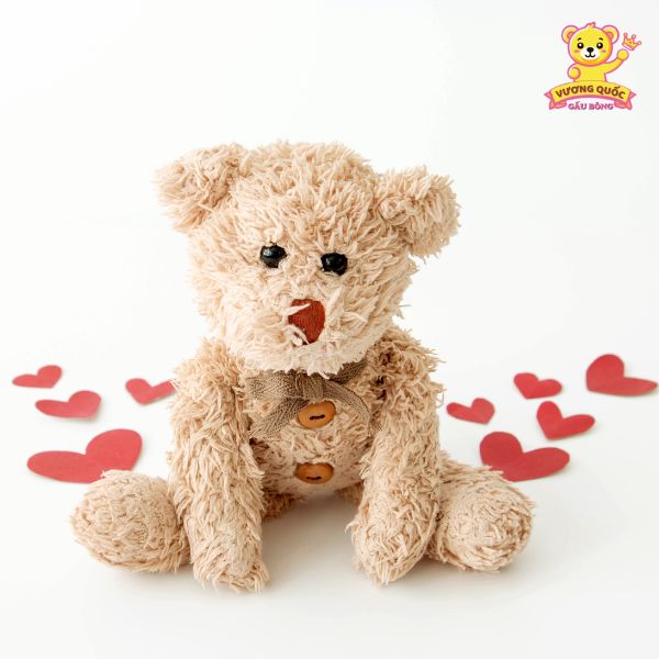 Kiểm tra bên trong gấu bông