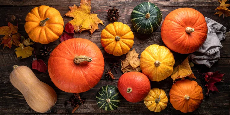 Verschiedene Kürbissorten auf rustikalem Holztisch mit Herbstdeko
