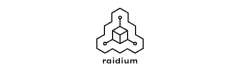 Logo Raidium