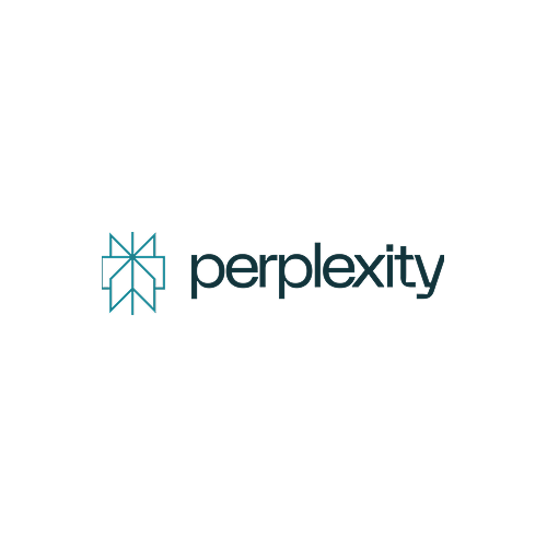 Perplexity