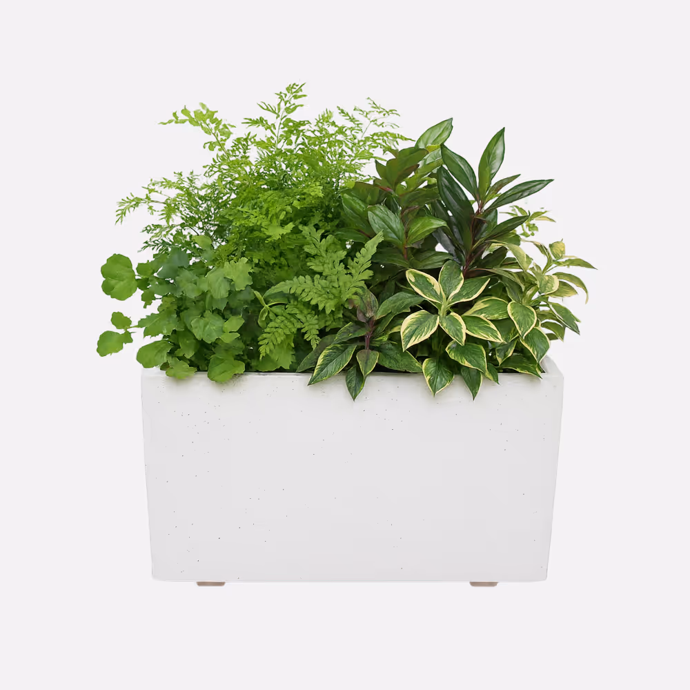 Jardinera Cuadrada