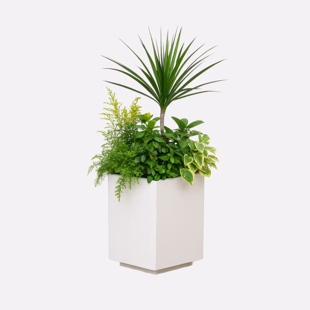 Jardinera Hexagonal