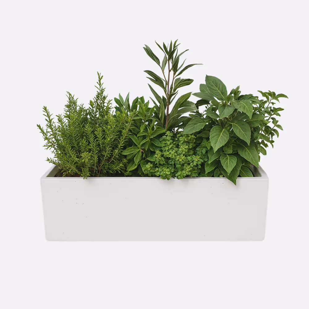 Jardinera Rectangular