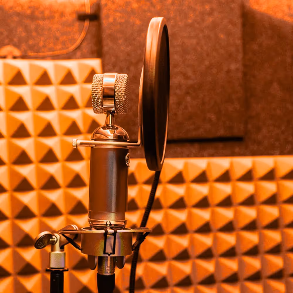 Studio microphone with pop filter inside WhisperRoom booth.