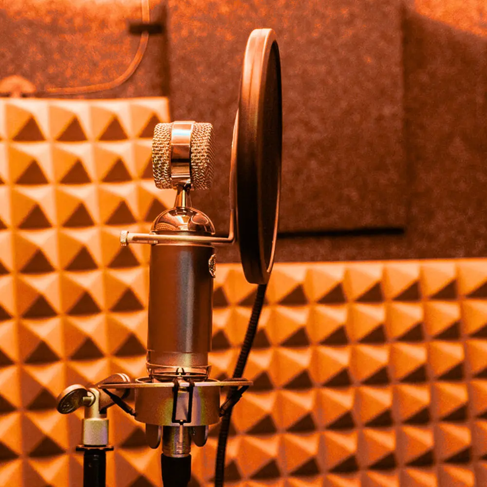 Studio microphone with pop filter inside WhisperRoom booth.