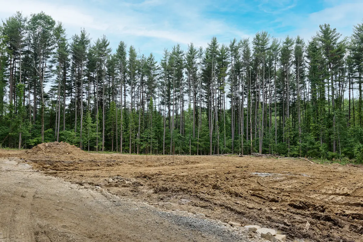 Cleared wooded homesite in Ohio prepared for construction of a custom historic-inspired log home.