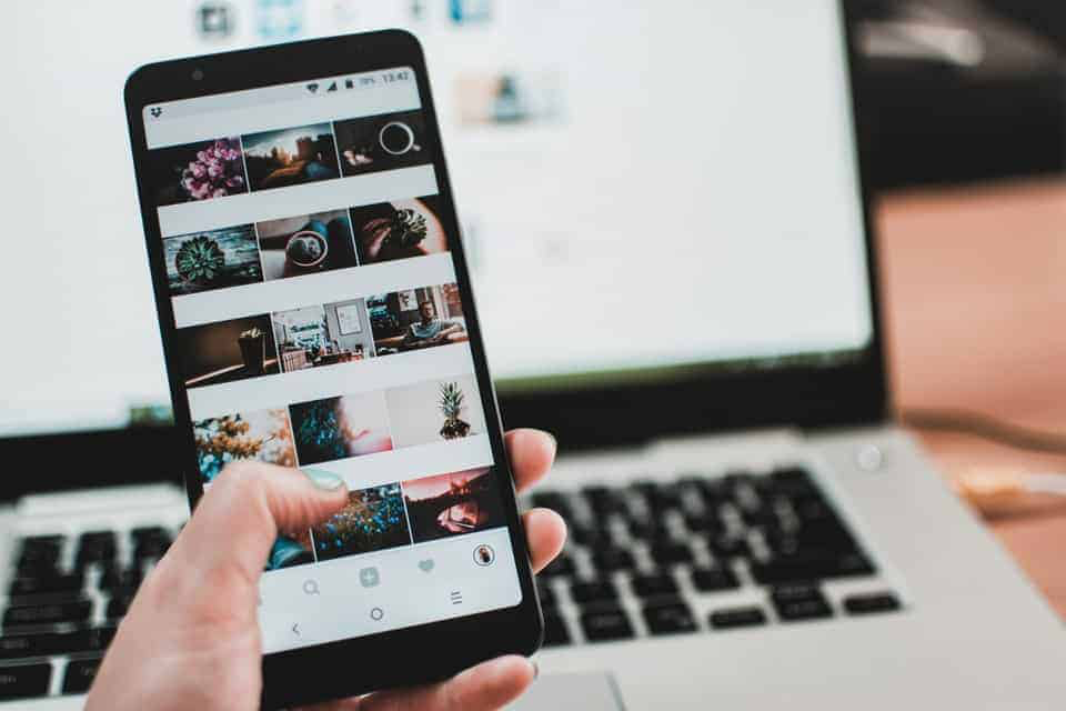 freelance writer looking for blog images on her cell phone