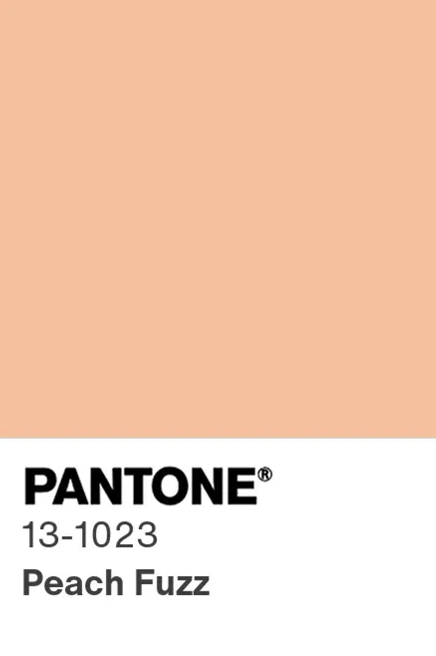 pantone 13-1023 peach fuzz