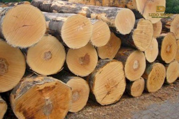 Quá Trình Khai Thác và Chế Biến