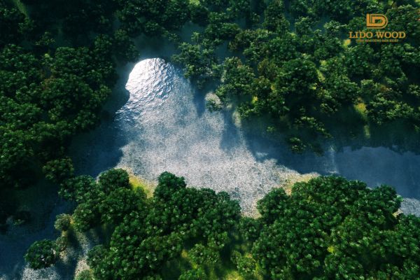 Hệ sinh thái rừng là gì?