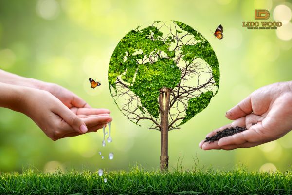 Bảo vệ môi trường là gì?