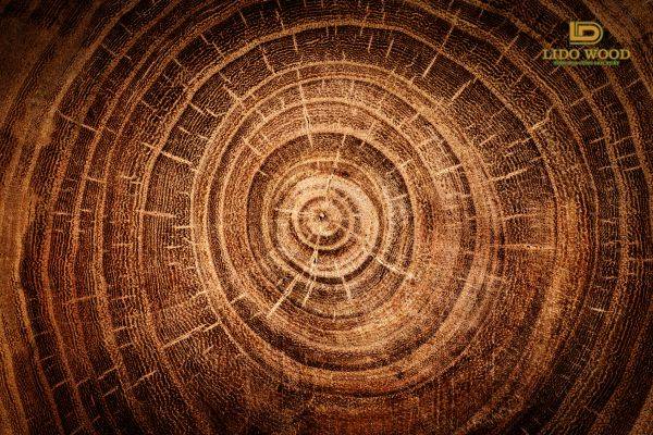 Mùi hương của gỗ