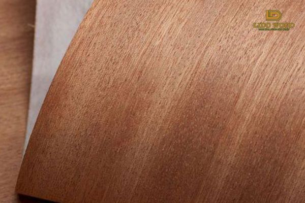 Gỗ Veneer xoan đào
