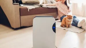 4 Benefits of Using a Dehumidifier for Your New Jersey Home