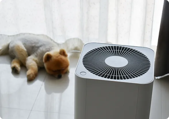 Small dog lying on the floor next to a white air purifier