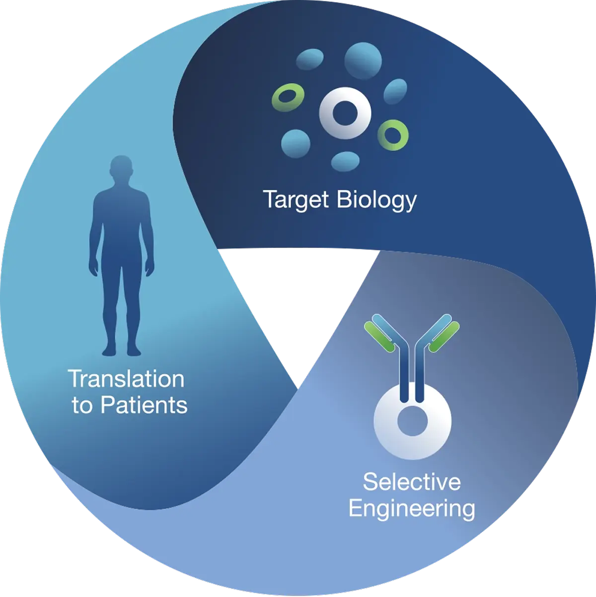 A model of the Inograft approach