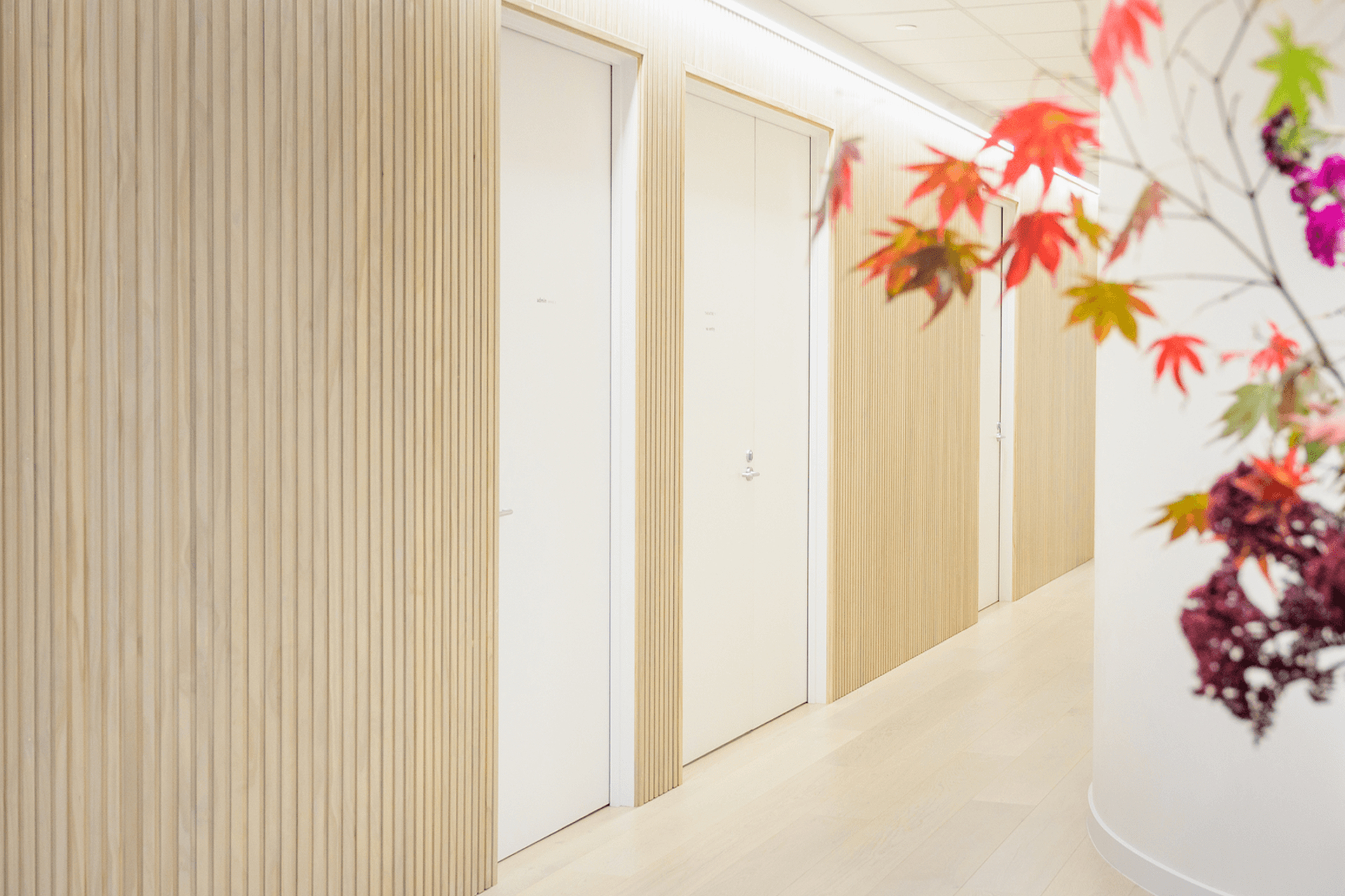 Hallway with vertical timber wall battens, white doors and pale timber flooring.