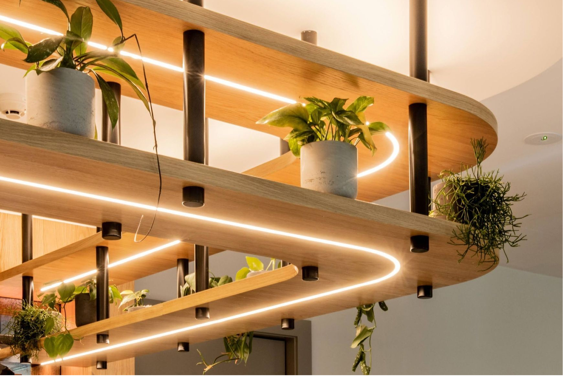 Warm linear lighting integrated into suspended timber shelves with potted plants.
