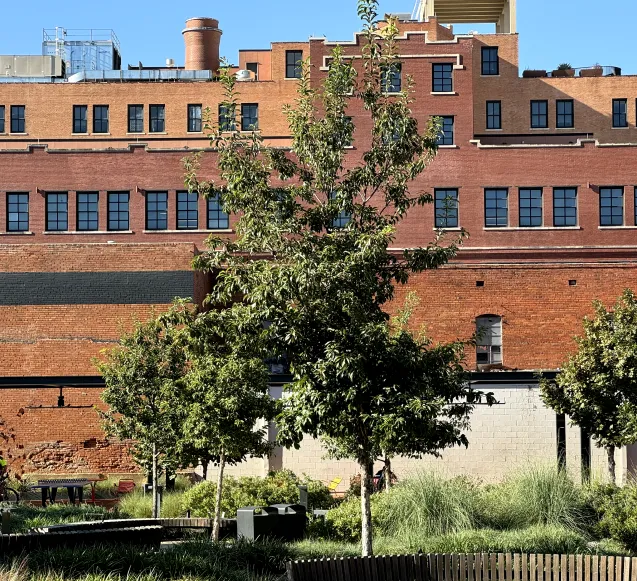 Urban park with green trees and bushes in front of a tall red brick building under a clear blue sky.
