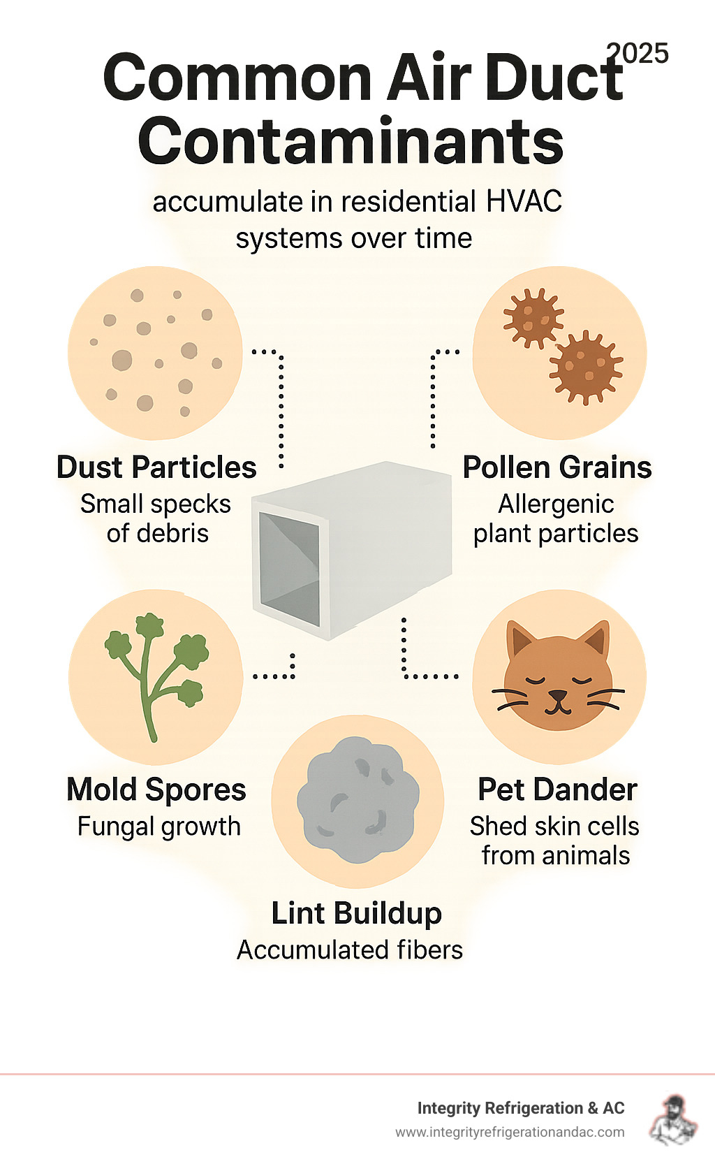 Infographic showing common air duct contaminants including dust particles, pollen grains, mold spores, pet dander, and lint buildup that accumulate in residential HVAC systems over time - air duct cleaning Auburndale infographic 