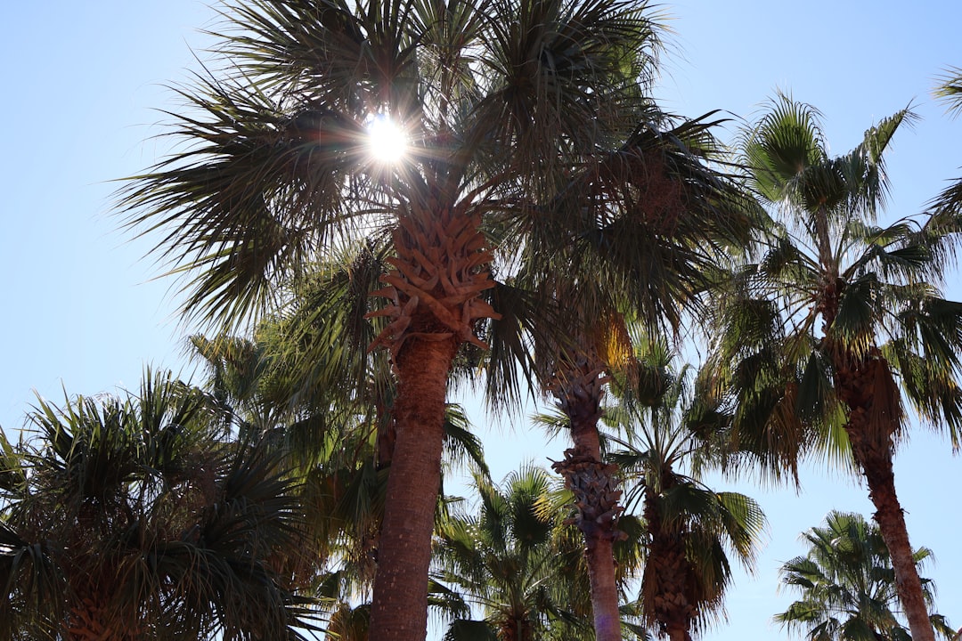 Low Refrigerant Signs: Is Your AC Just Blowing Hot Air?