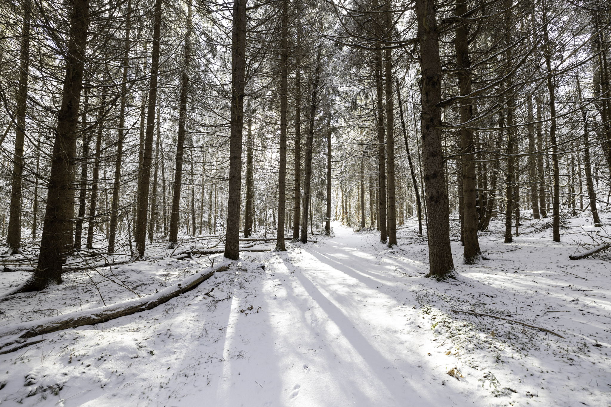 Get Started with Expert Airbnb Management in Austin