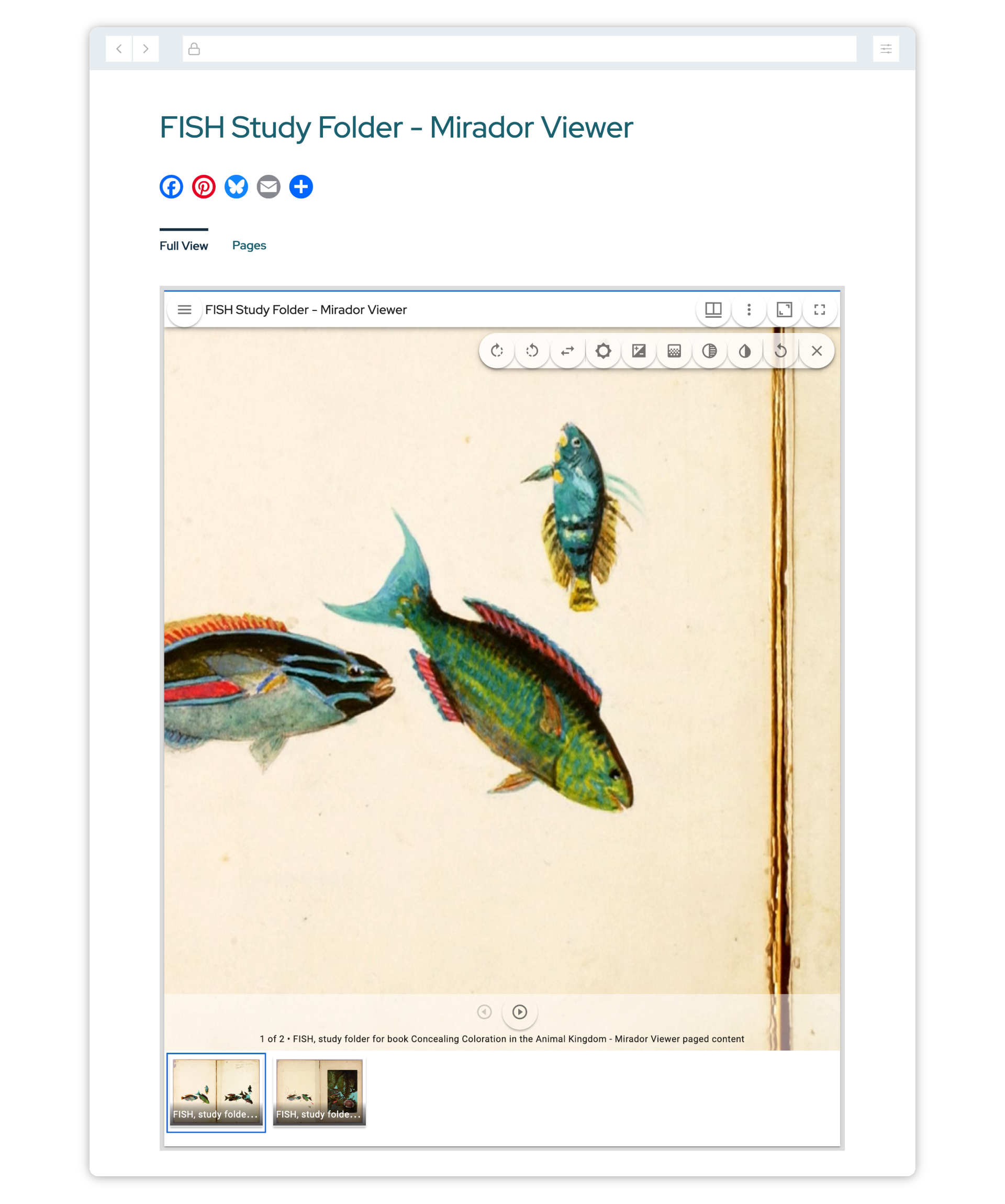 Visual of aurora interface in browser.