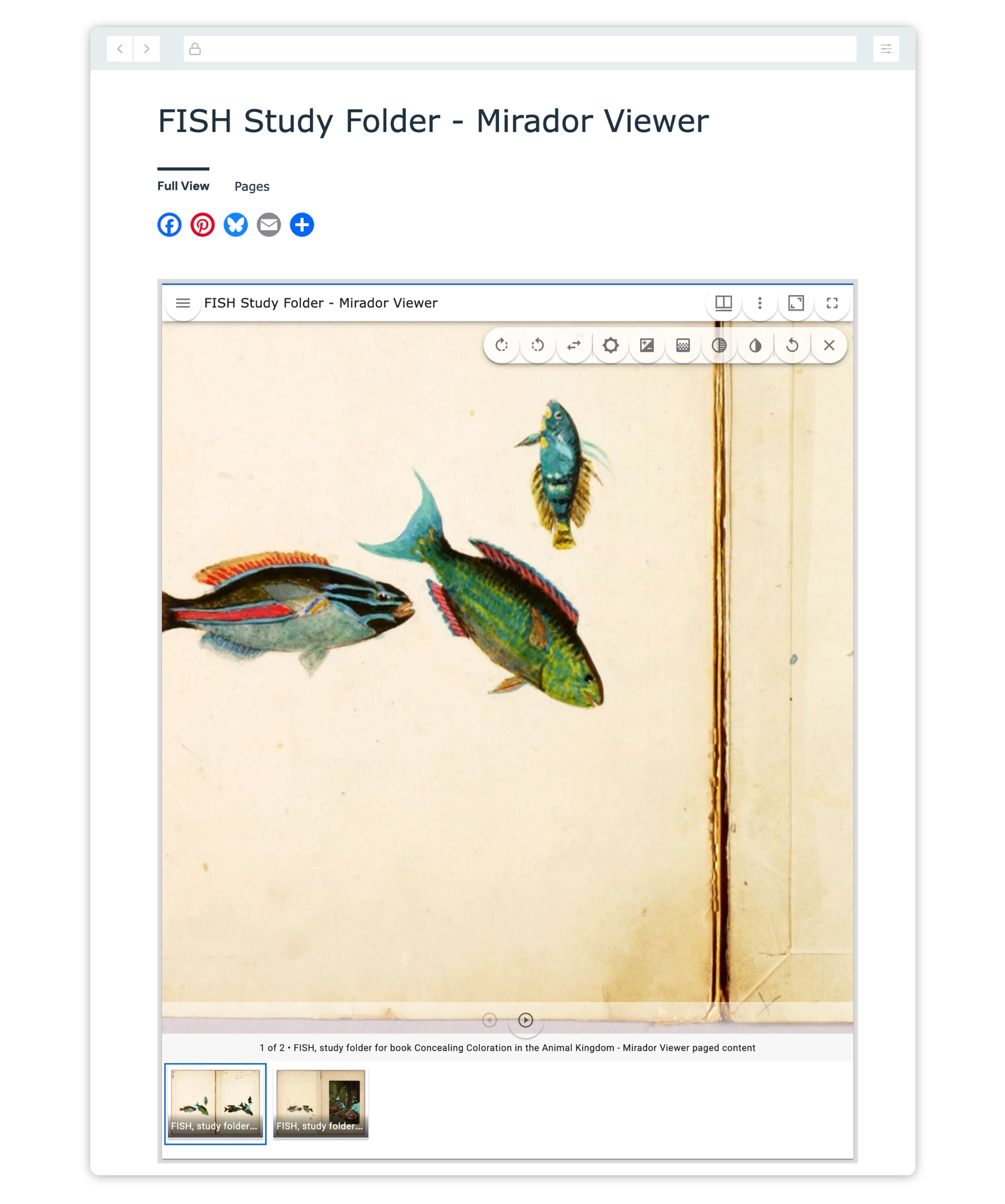 Aurora Mirador viewer displaying a multi-page digital object from the FISH Study Folder.