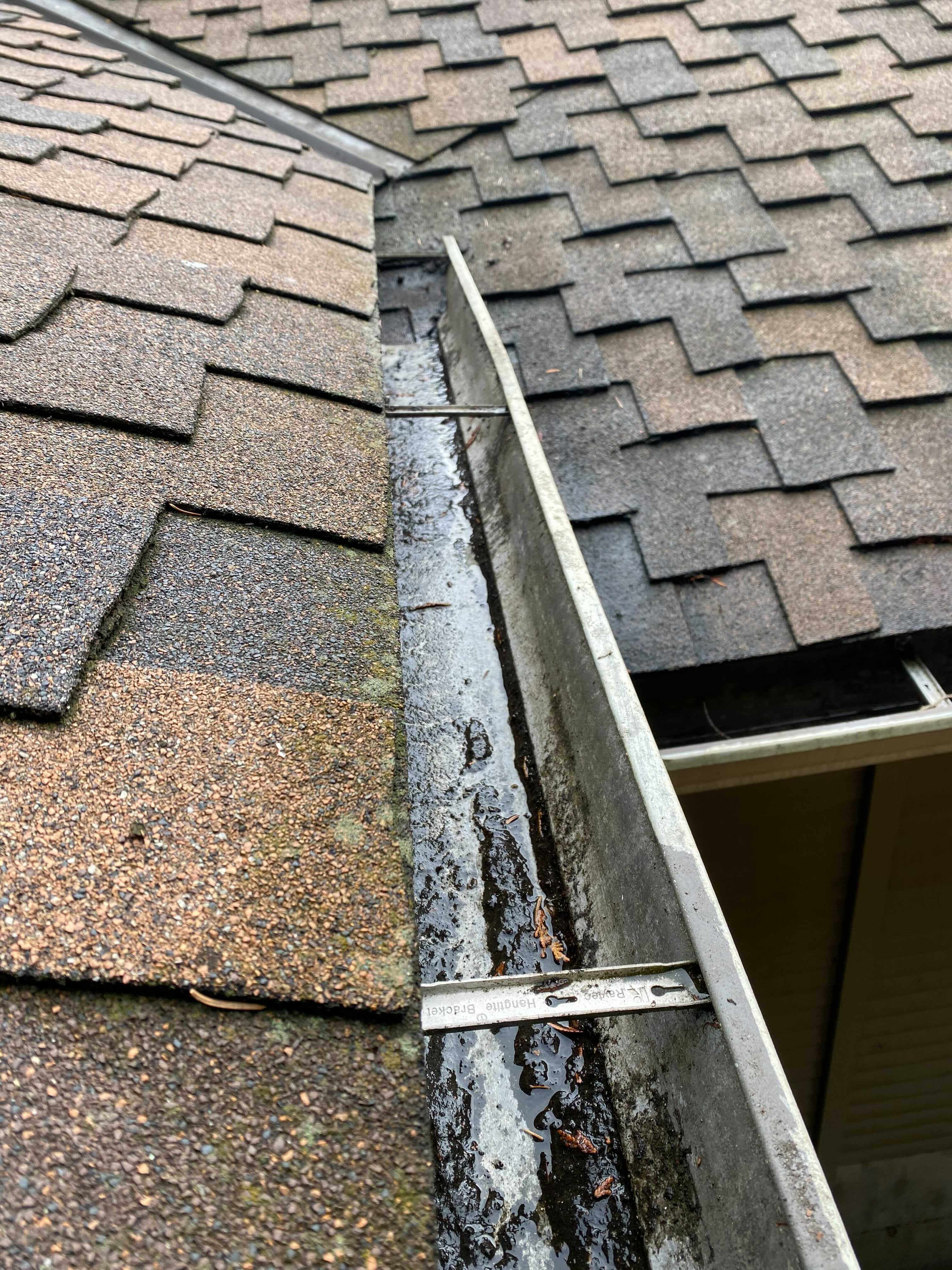 Gutter Cleaning