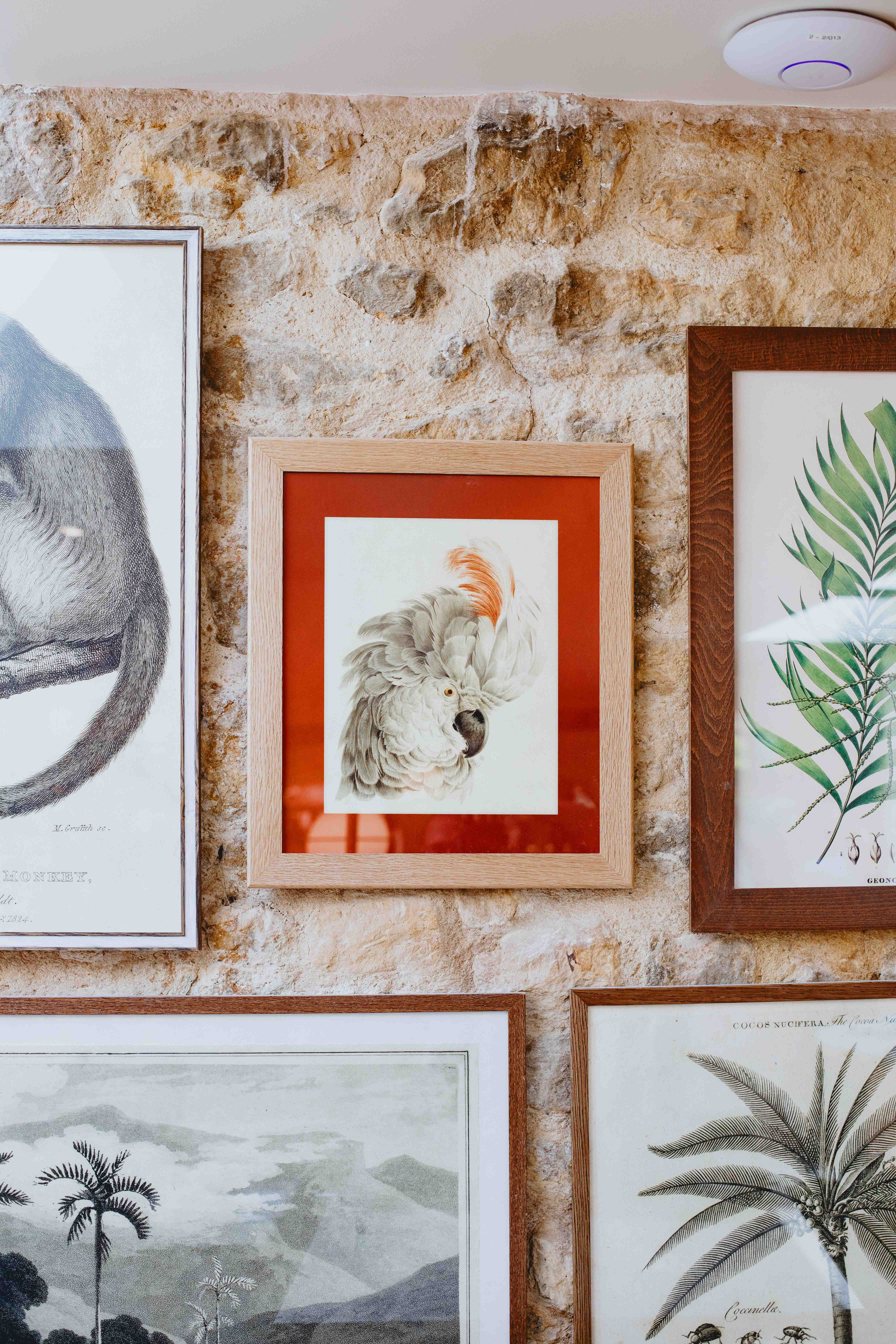 Concept Retail Design