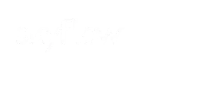 Skyflow