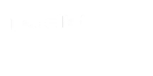 Parallel Web Systems
