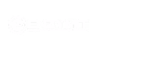 Enzymit