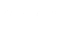 Physical intelligence
