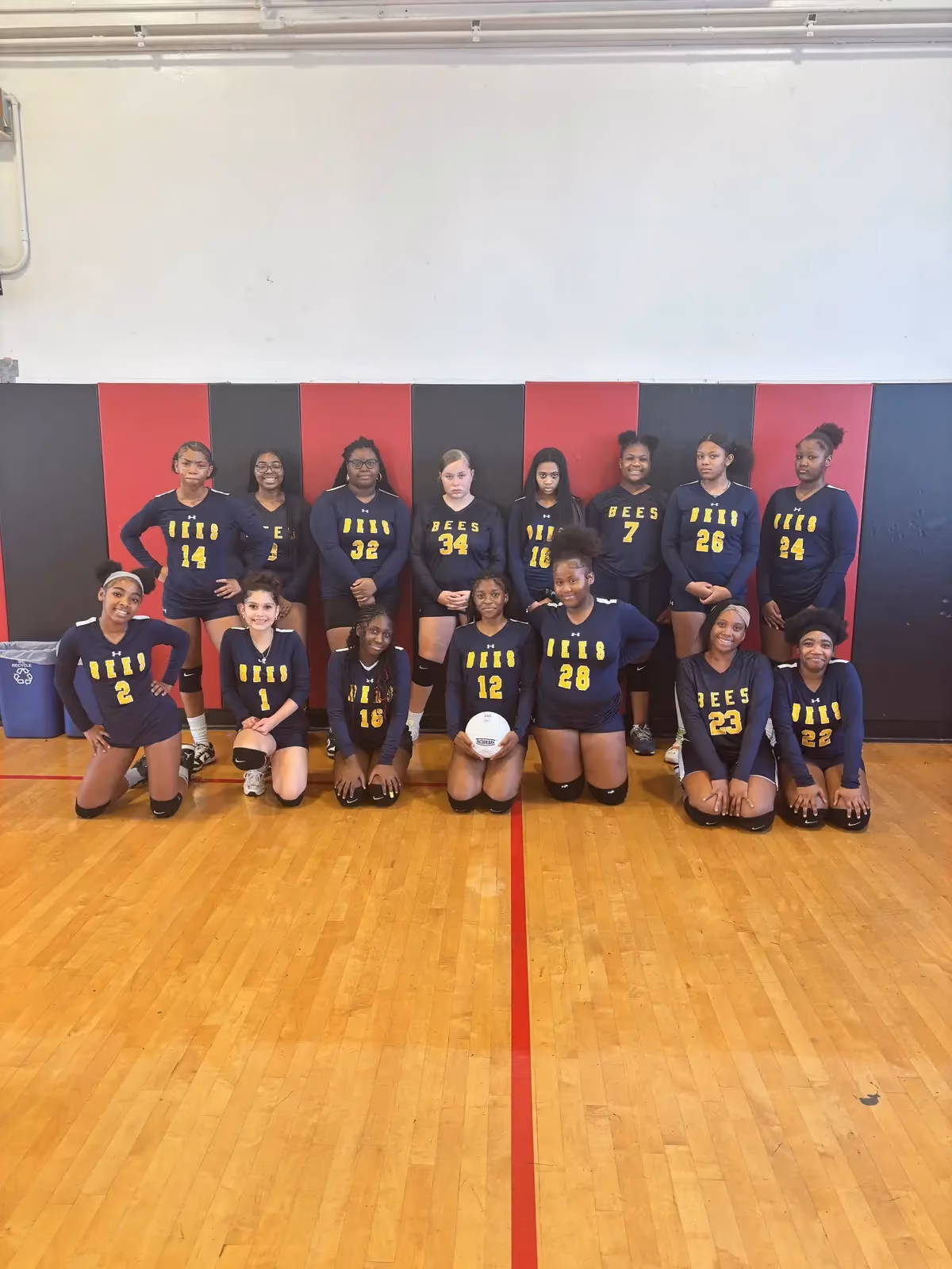 BEES Girls Volleyball img