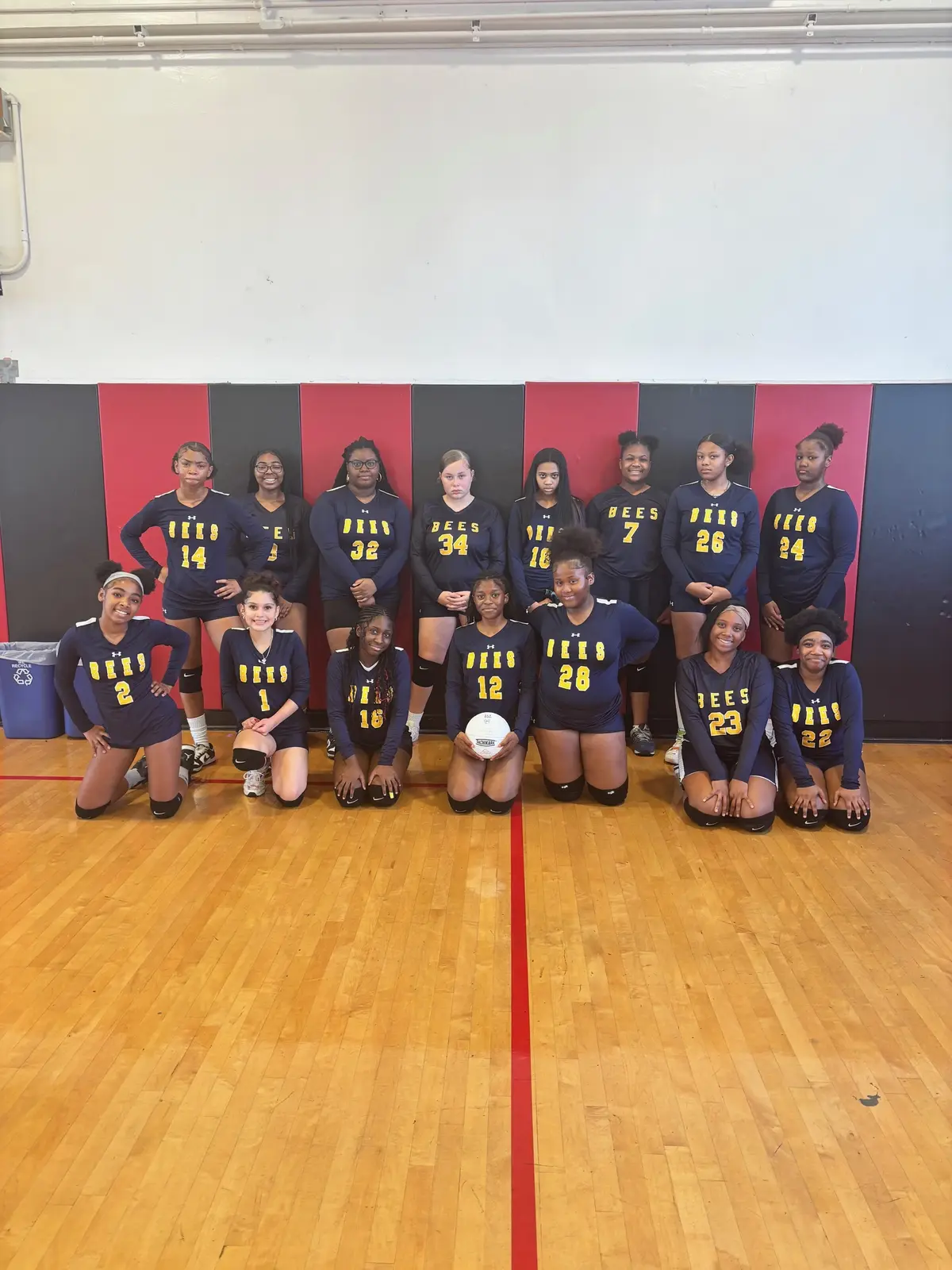 BEES Girls Volleyball img