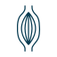 ALT (Alanine Aminotransferase)