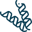 Albumin