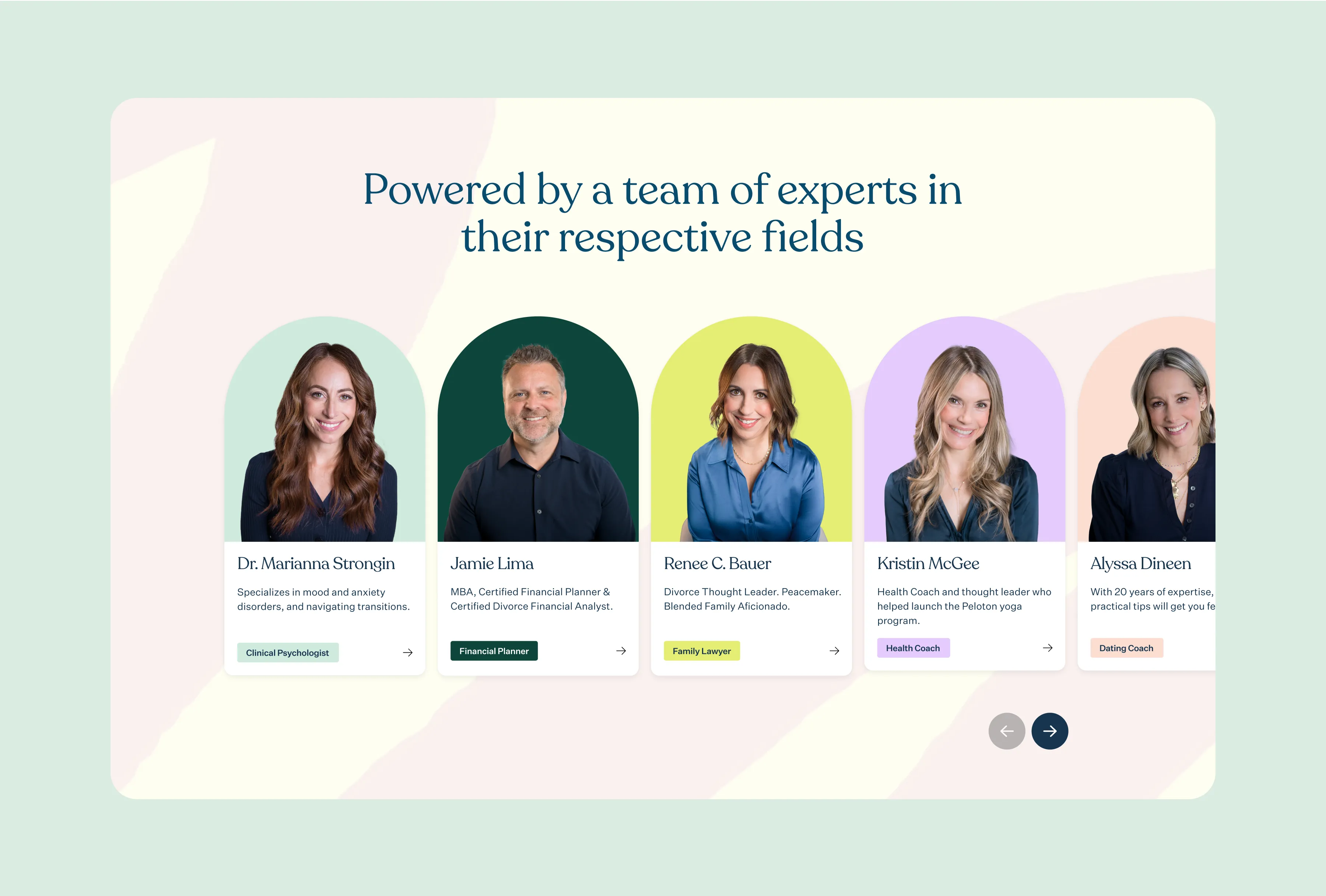 Expert team behind My Next Chapter featuring five professionals with headshots and titles on a soft pastel background