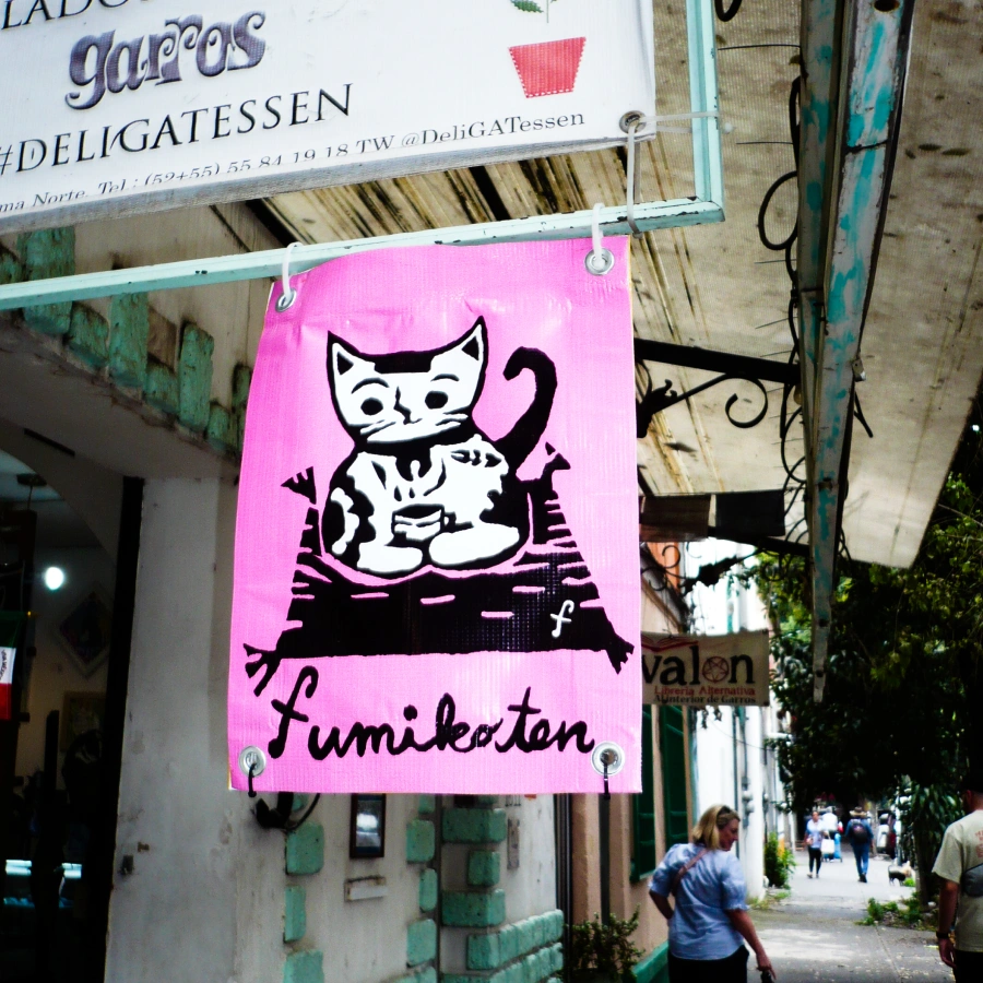 bright pink Mexican street sign with a cat on it