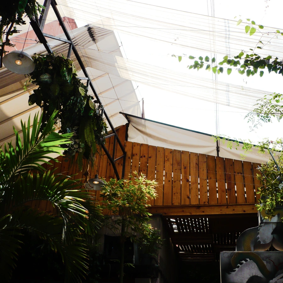 Roof of a restaurant in Mexico City