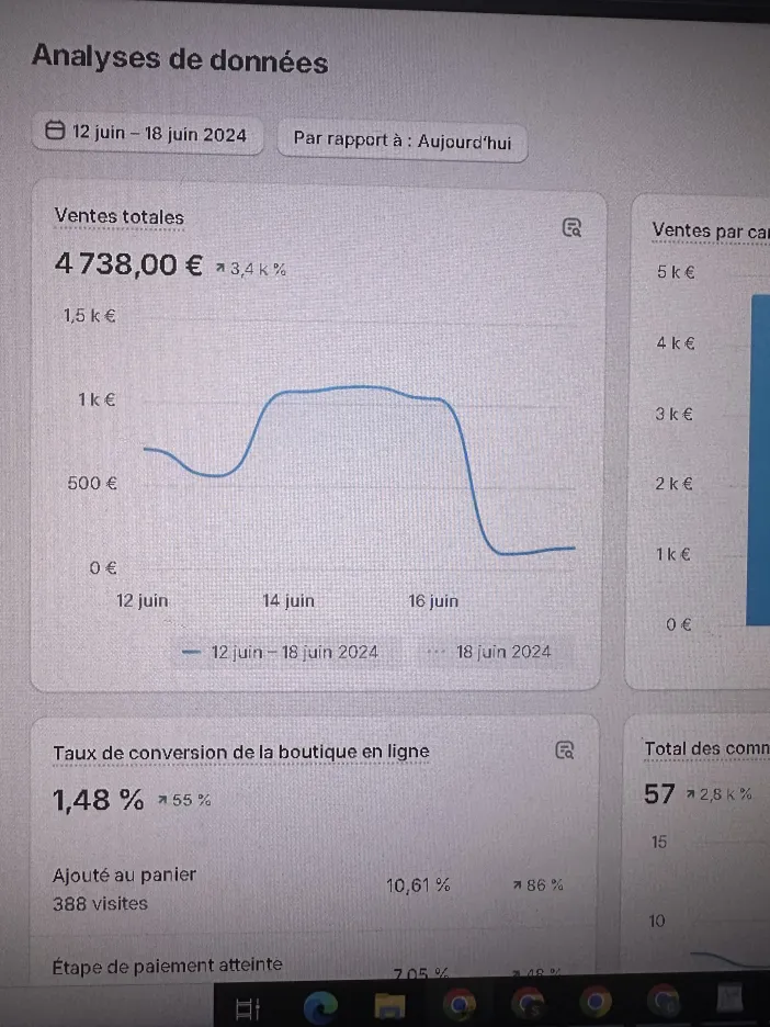 exemple of ROI from sitevolution services
