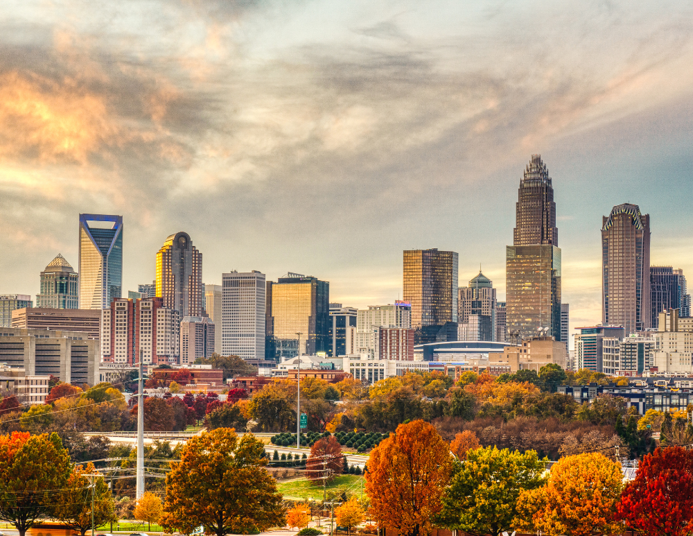 Charlotte Skyline