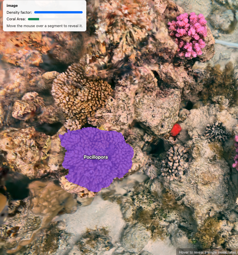 digital twin of coral reef