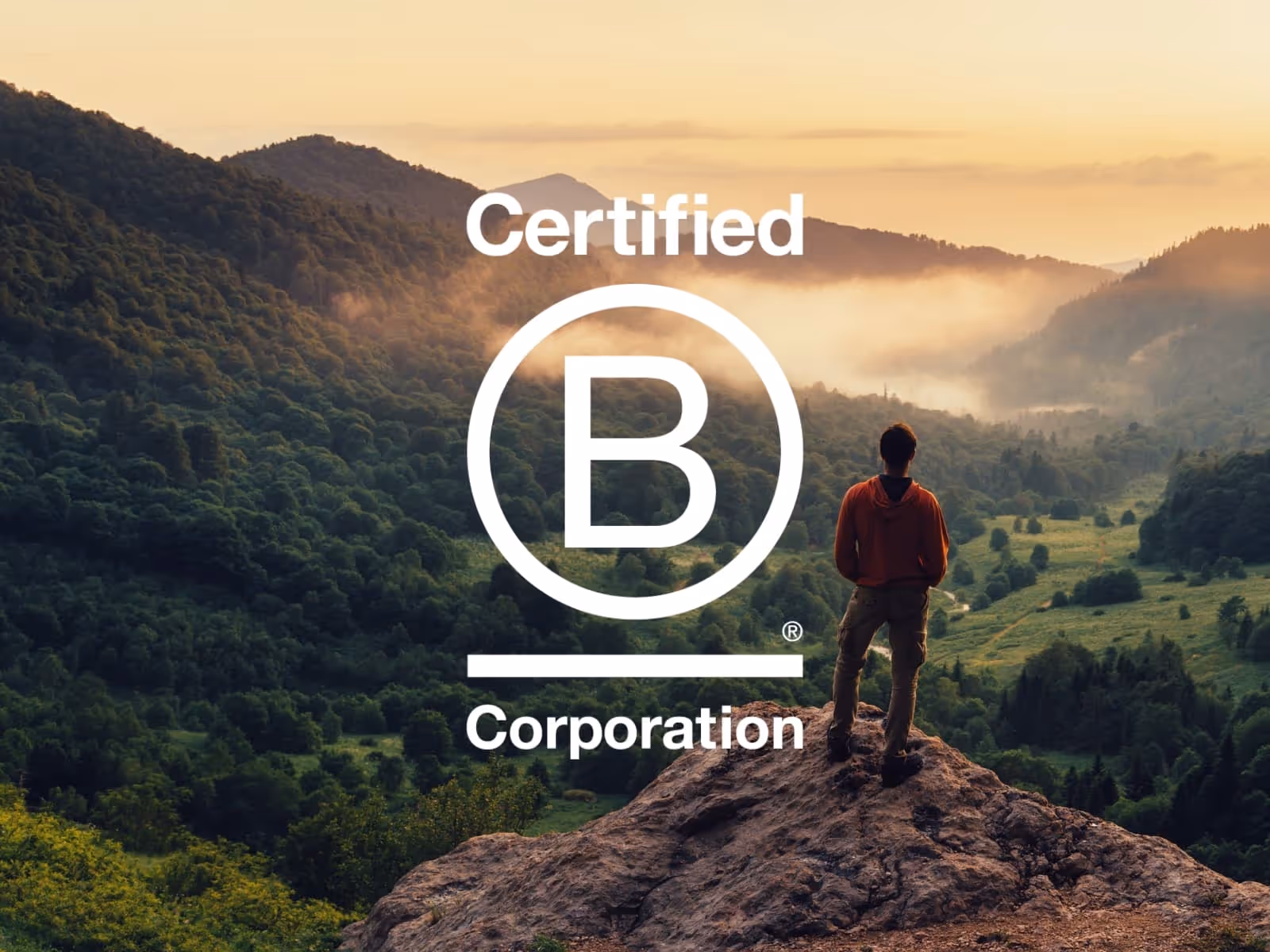 Man standing on a mounting looking out to the distance with B Corp logo on top of image