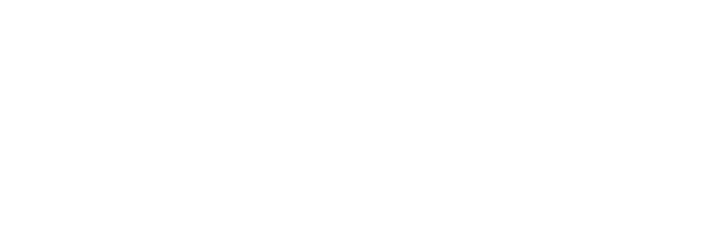 White Leads Icon company logo displayed on Affiliate Takeover page