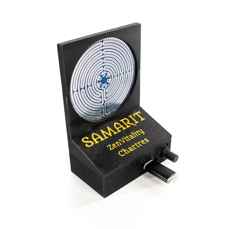 ZenVitality Chartres Labyrinth side view