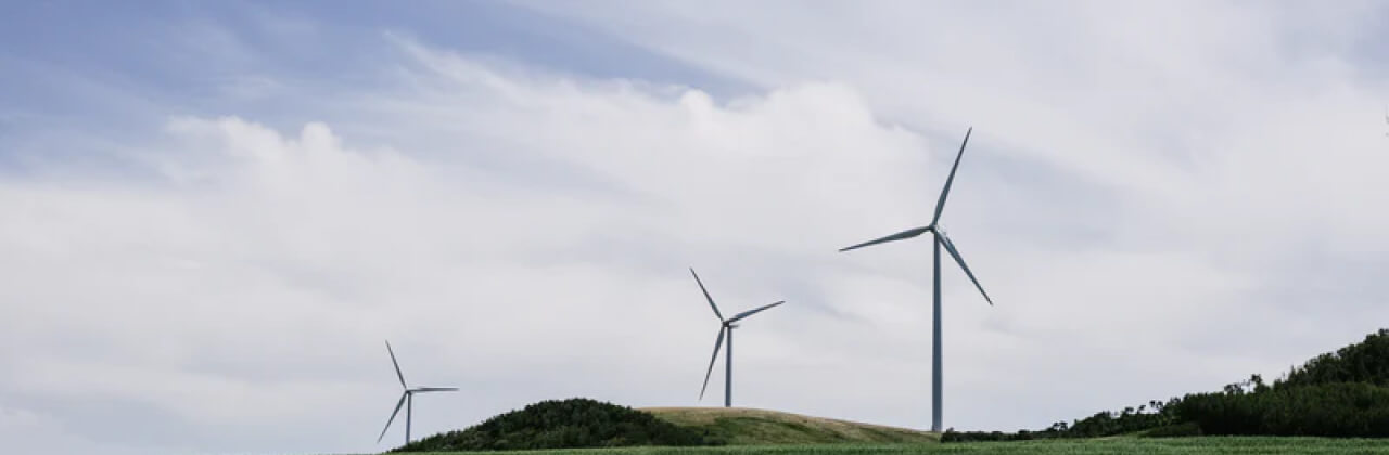 Wind farm landscape