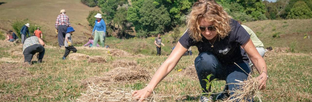 Woman planting trees