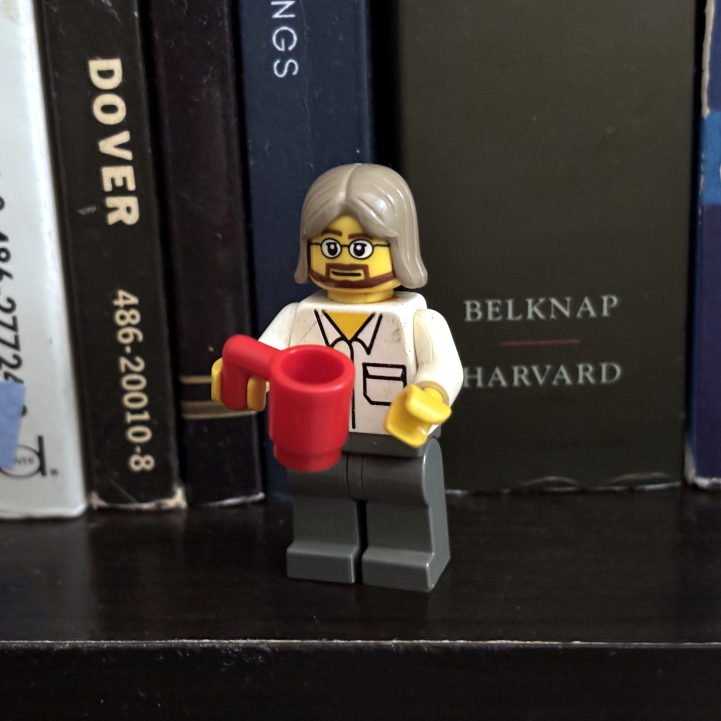 Image of a LEGO figurine with a beard and long-ish hair holding a red coffee mug, standing on a bookshelf in front of several books
